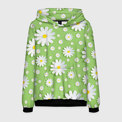 Мужская толстовка Ромашки бумажные