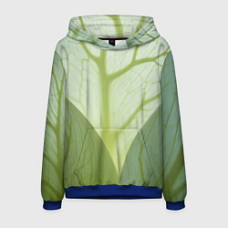 Мужская толстовка Макро съемка листа