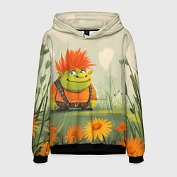 Толстовка-худи мужская Маленький Шрек с рыжими волосами, цвет: 3D-черный