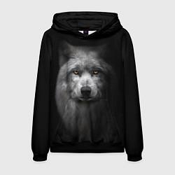 Мужская толстовка Суровый волк с холодным нордическим взглядом