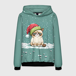 Мужская толстовка Недовольный новогодний котик