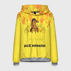 Мужская толстовка Все нормально конь в огне