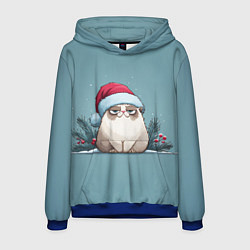 Мужская толстовка Мем котик - Новый год