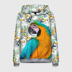 Толстовка-худи мужская Летний попугай, цвет: 3D-меланж