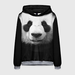 Толстовка-худи мужская Взгляд панды, цвет: 3D-меланж