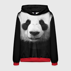 Толстовка-худи мужская Взгляд панды, цвет: 3D-красный