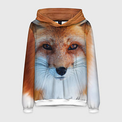 Толстовка-худи мужская Взгляд лисы, цвет: 3D-белый