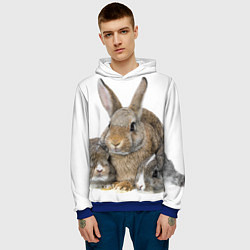 Толстовка-худи мужская Кролики - семейство, цвет: 3D-синий — фото 2