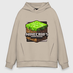 Мужское худи оверсайз Minecraft: Pocket Edition