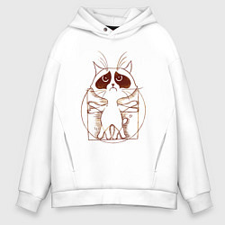 Мужское худи оверсайз Кот да Винчи