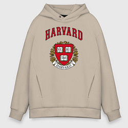 Мужское худи оверсайз Harvard university