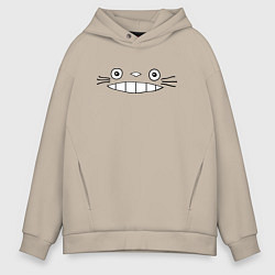 Мужское худи оверсайз Totoro face