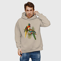 Толстовка оверсайз мужская Тропические попугаи, цвет: миндальный — фото 2