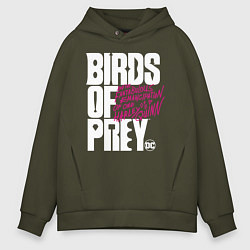 Мужское худи оверсайз Birds of Prey logo