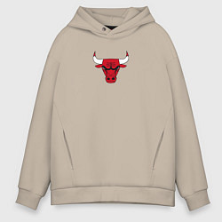 Мужское худи оверсайз CHICAGO BULLS