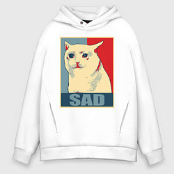 Мужское худи оверсайз Sad Cat