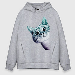 Мужское худи оверсайз Любопытный кот