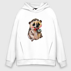 Мужское худи оверсайз Ежик