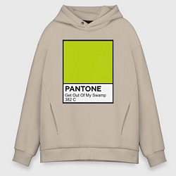 Мужское худи оверсайз Shrek: Pantone Color