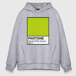 Мужское худи оверсайз Shrek: Pantone Color