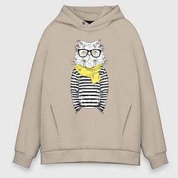 Мужское худи оверсайз Hipster Cat