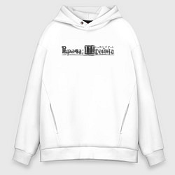 Мужское худи оверсайз Врата Штейна логотип