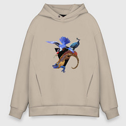 Мужское худи оверсайз Экзотика джунглей