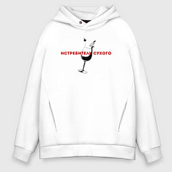 Мужское худи оверсайз Истребитель сухого