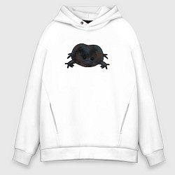 Мужское худи оверсайз Настроение дождевой лягушки