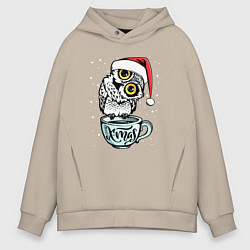 Мужское худи оверсайз X-mas Owl