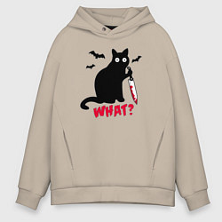 Мужское худи оверсайз What? Кот маньяк