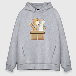 Мужское худи оверсайз Catanic