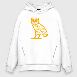 Мужское худи оверсайз Drake сова