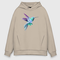 Мужское худи оверсайз Красивая колибри