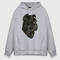 Мужское худи оверсайз Портрет Кане-корсо