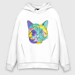 Мужское худи оверсайз COLORED CAT