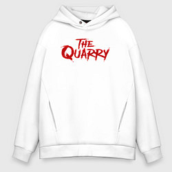 Мужское худи оверсайз The Quarry logo