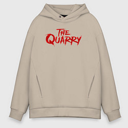 Мужское худи оверсайз The Quarry logo