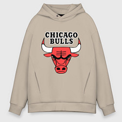 Мужское худи оверсайз Chicago Bulls