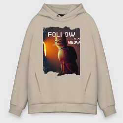Мужское худи оверсайз STRAY FOLLOW MEOW