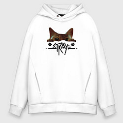 Толстовка оверсайз мужская Stray: Кот, цвет: белый