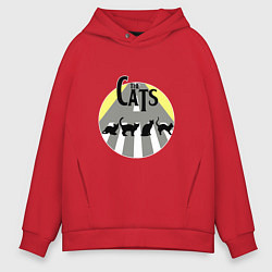 Толстовка оверсайз мужская The Cats, цвет: красный