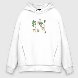 Мужское худи оверсайз Три ламы среди кактусов гуляют
