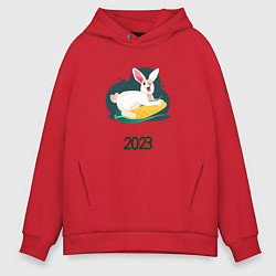 Толстовка оверсайз мужская Кролик 2023, цвет: красный