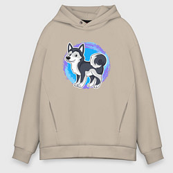 Мужское худи оверсайз Мультяшный пёс хаски