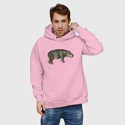 Толстовка оверсайз мужская Hippopotamus, цвет: светло-розовый — фото 2