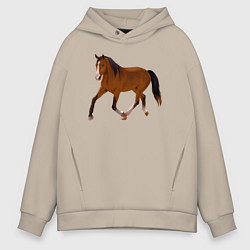 Мужское худи оверсайз Голландская теплокровная