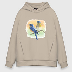 Мужское худи оверсайз Птицы живут везде