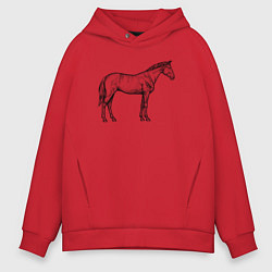 Толстовка оверсайз мужская Лошадь стоит в профиль, цвет: красный