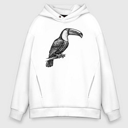 Мужское худи оверсайз Тукан на жердочке